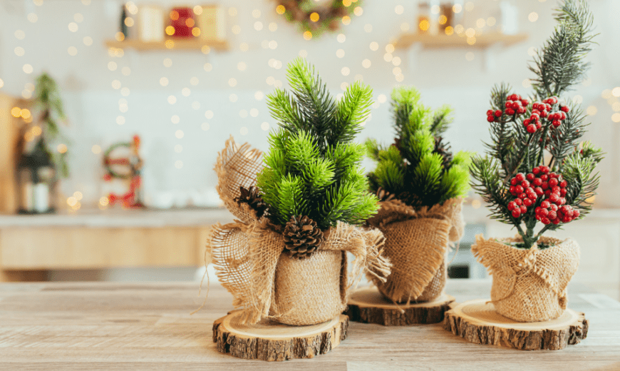 6 Perfect Plants To Upgrade Your Seasonal Decor