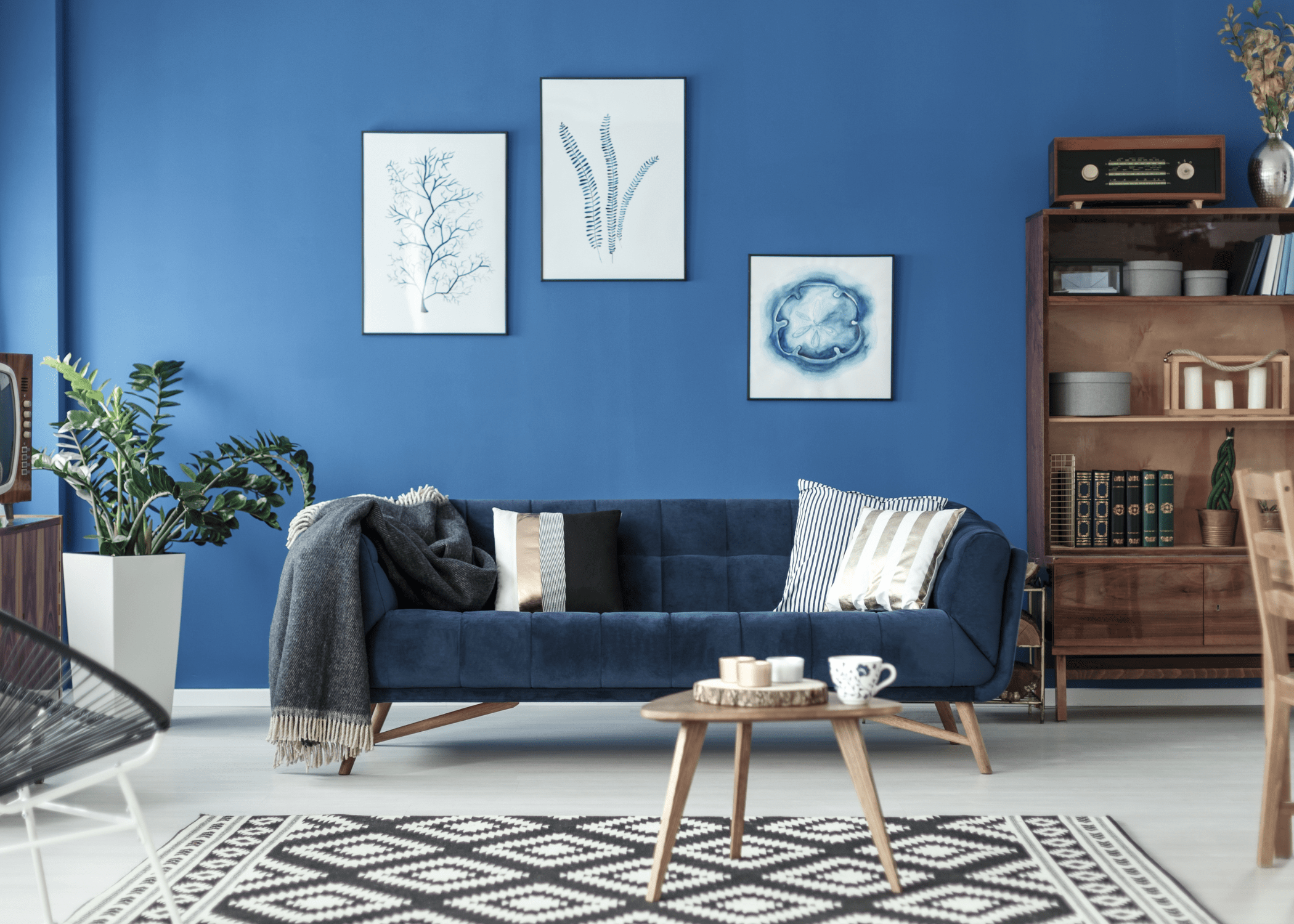 A navy blue living room.