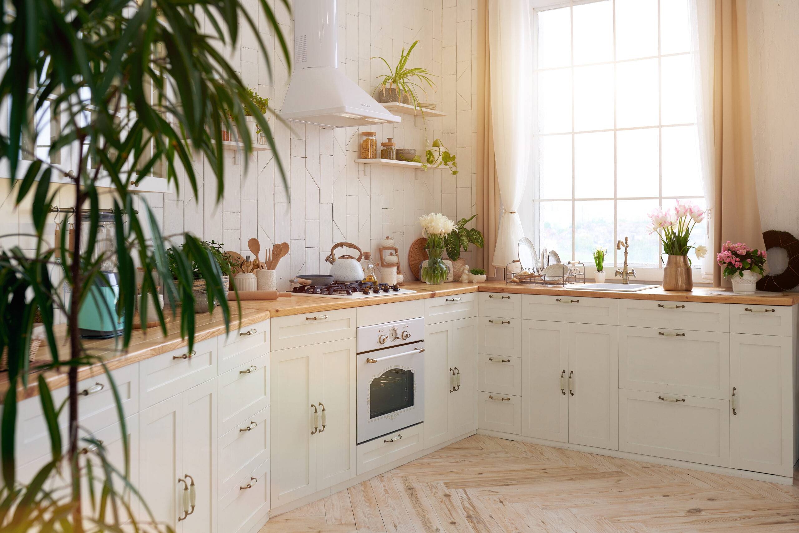 A Cozy Modern kitchen room interior, real photo, no people