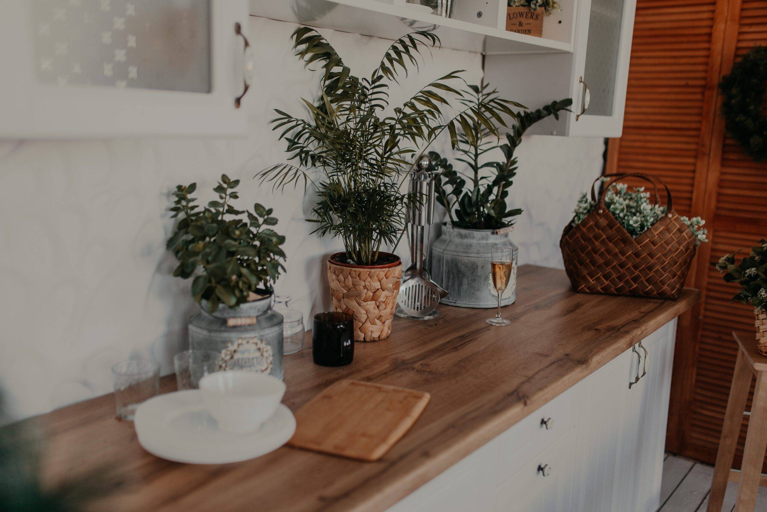 A kitchen counter adorned with a few potted plants.