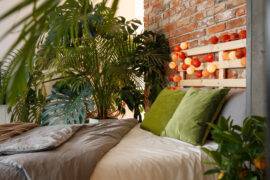 A photo of the back half of a bed surrounded by large, leafy plants.