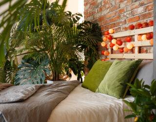 A photo of the back half of a bed surrounded by large, leafy plants.