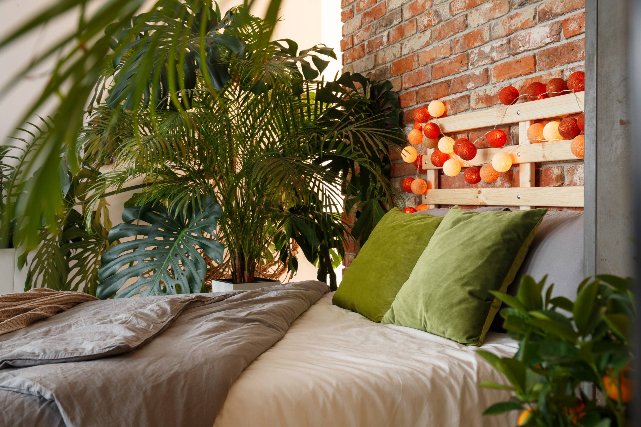 Photo of the back half of a bed surrounded by large, leafy plants.