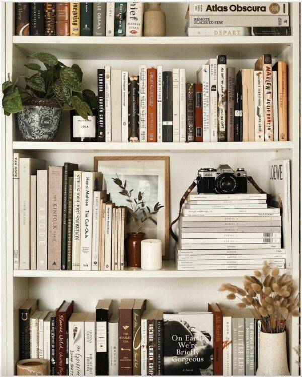 A fully-stocked and decorated bookshelf.