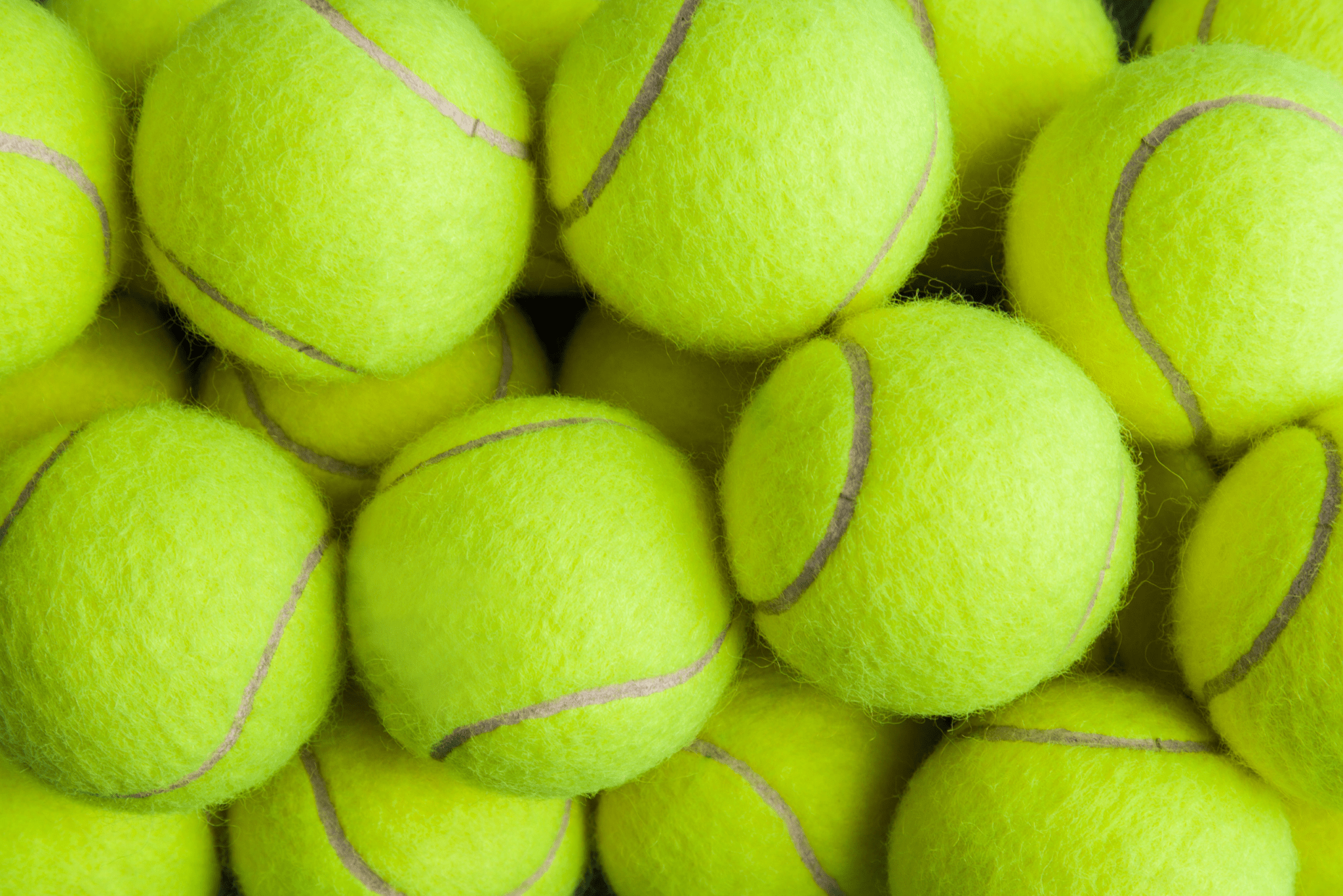 A whole bunch of tennis balls.