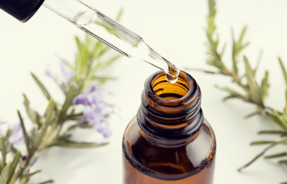 A close photo of a bottle of essential oil, the dropper removed right above the opening.