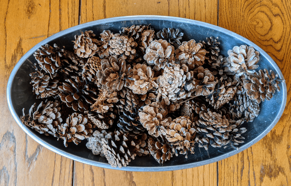 An aerial photo of an oblong bowl with a collection of decorative pinecones in it.