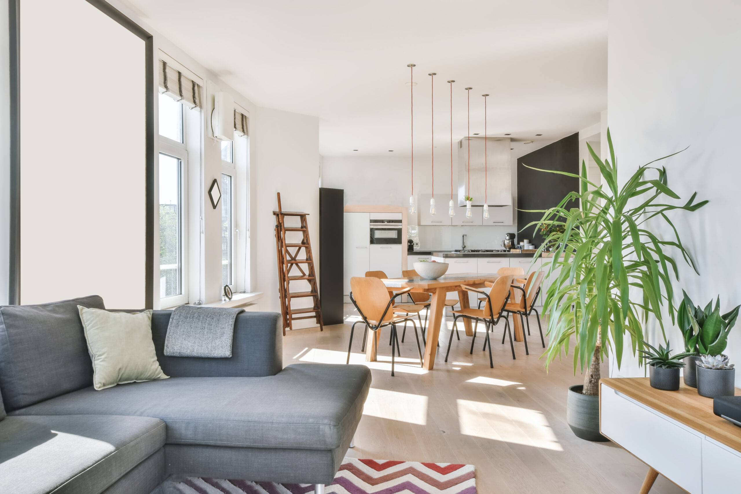 An open concept apartment, dining room and kitchen visible from the couch.