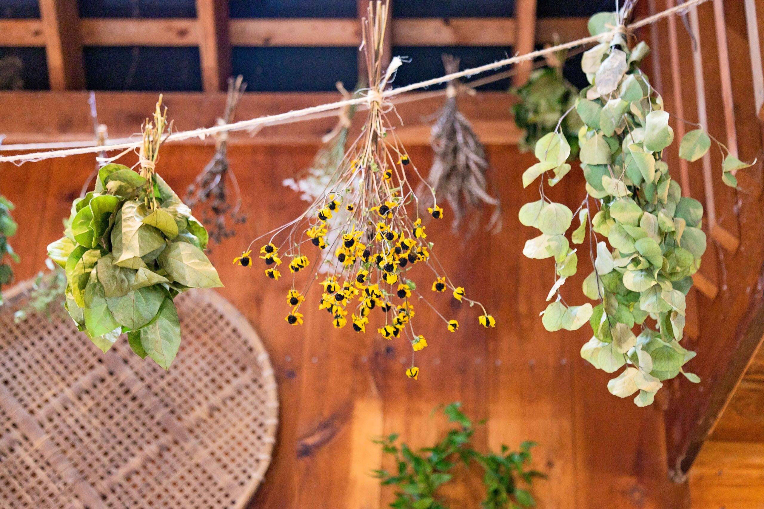 Bundles of flowers and leaves being hung upside-down from a string.