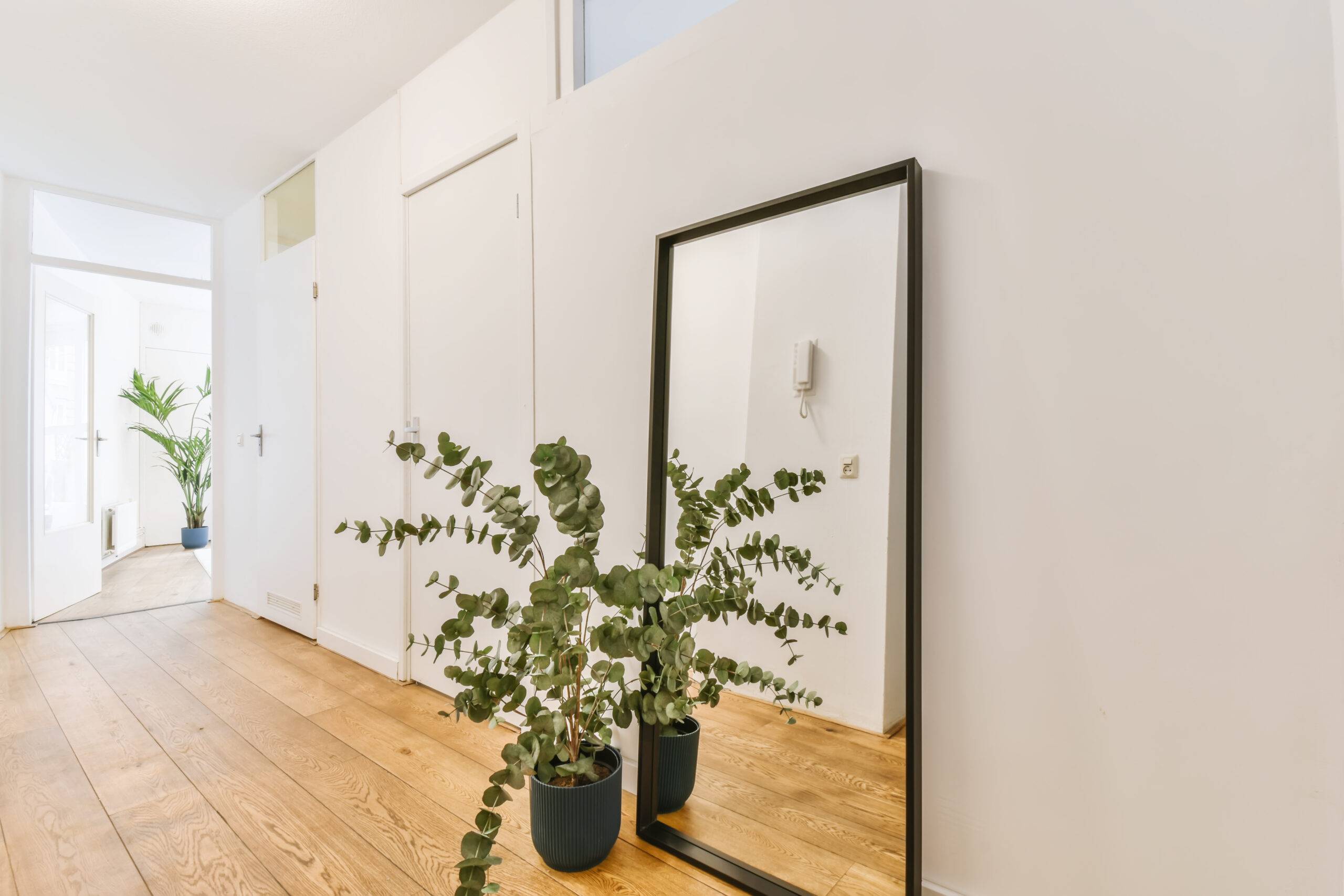 Lovely room with a floor-length mirror and plant