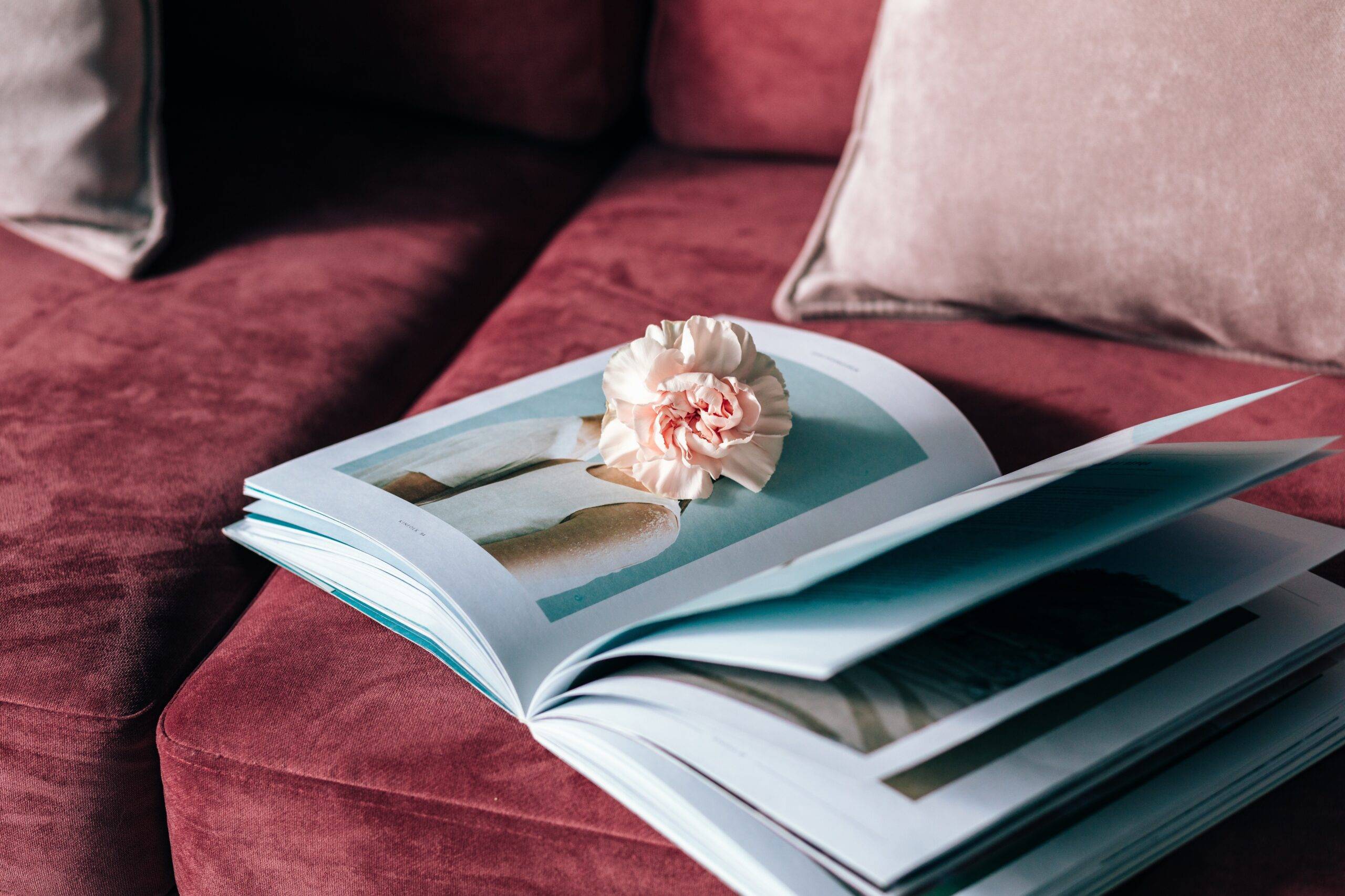 An art book open on a couch with a flower placed inside.