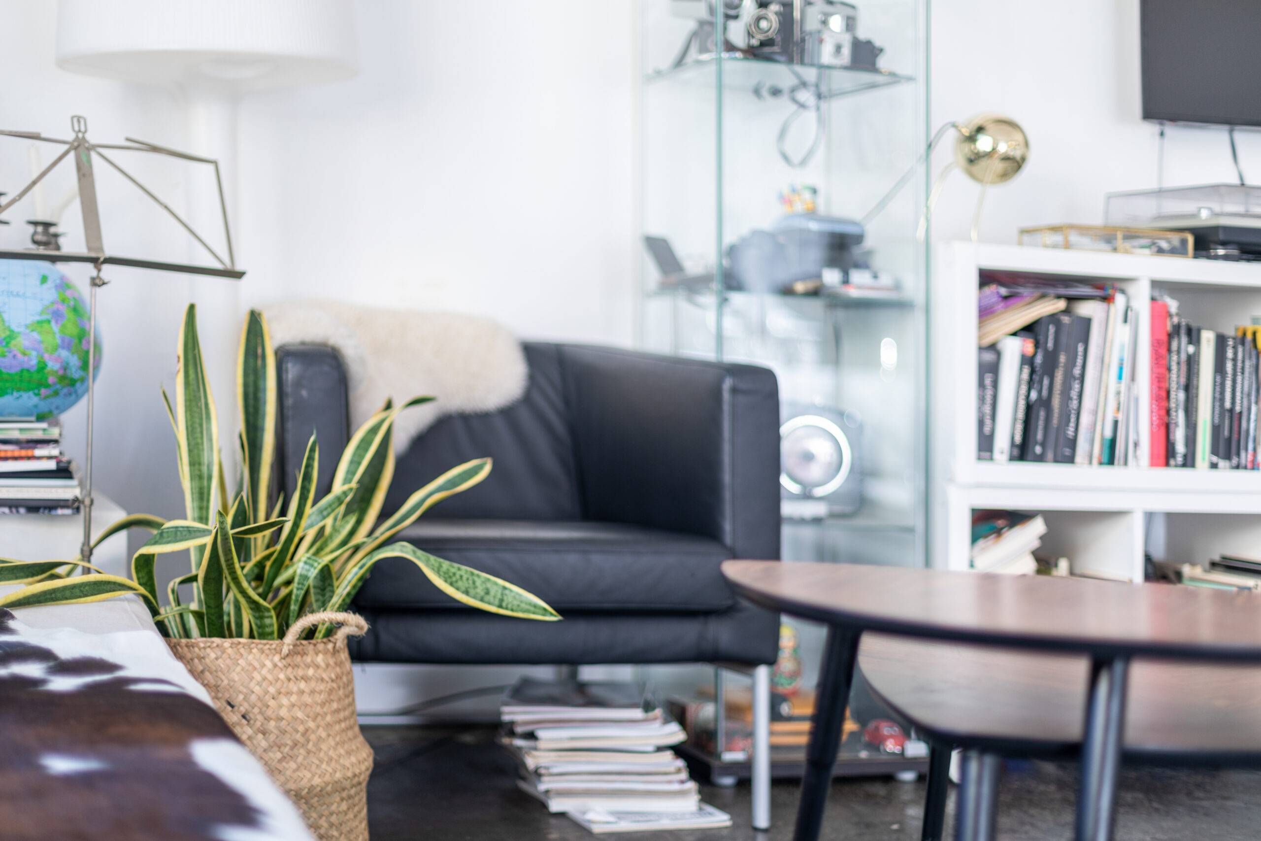 Horizontal view of a closeup of a living room.